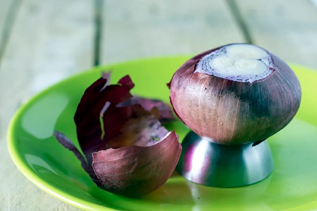 Cipolla in cucina